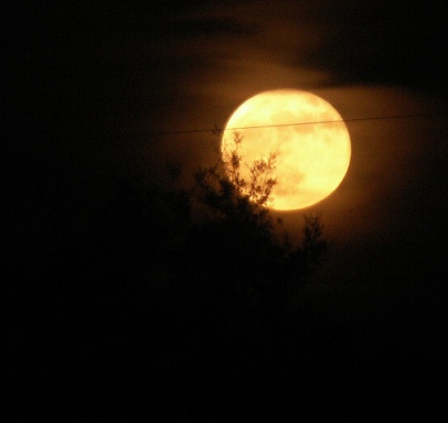 fenomena bulan orange